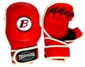 Punching Mitts